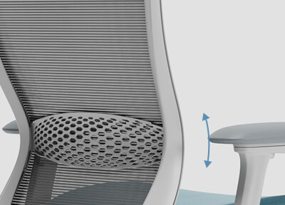 Adjustable Lumbar Support